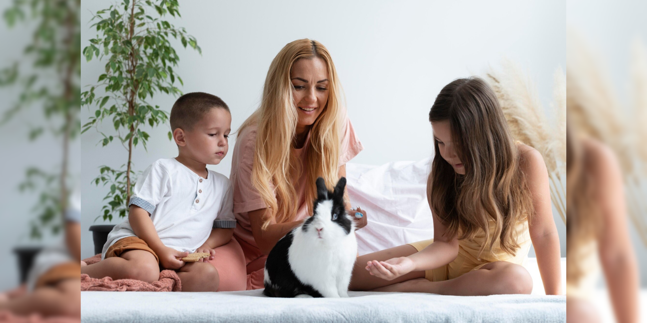 Creating a Safe, Happy Life for Your Rabbit at Home