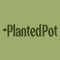 Planted Pot
