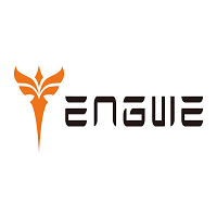 Engwe Bikes IT