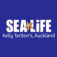 Sea Life AU